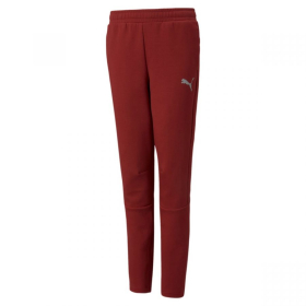 PUMA DONJI DEO EVOSTRIPE PANTS CL B ZA DEČAKE