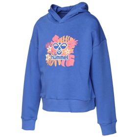DUKS HMLJADAN HOODIE
